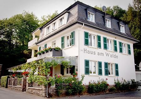 Pension "Haus Am Walde" Brodenbach, Mosel 外观 照片
