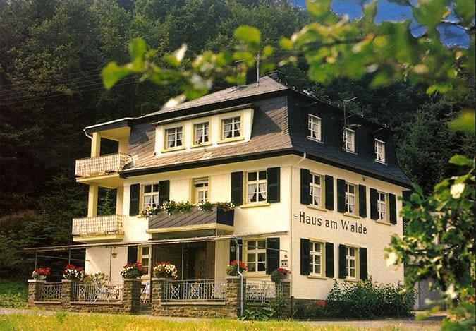 Pension "Haus Am Walde" Brodenbach, Mosel 外观 照片