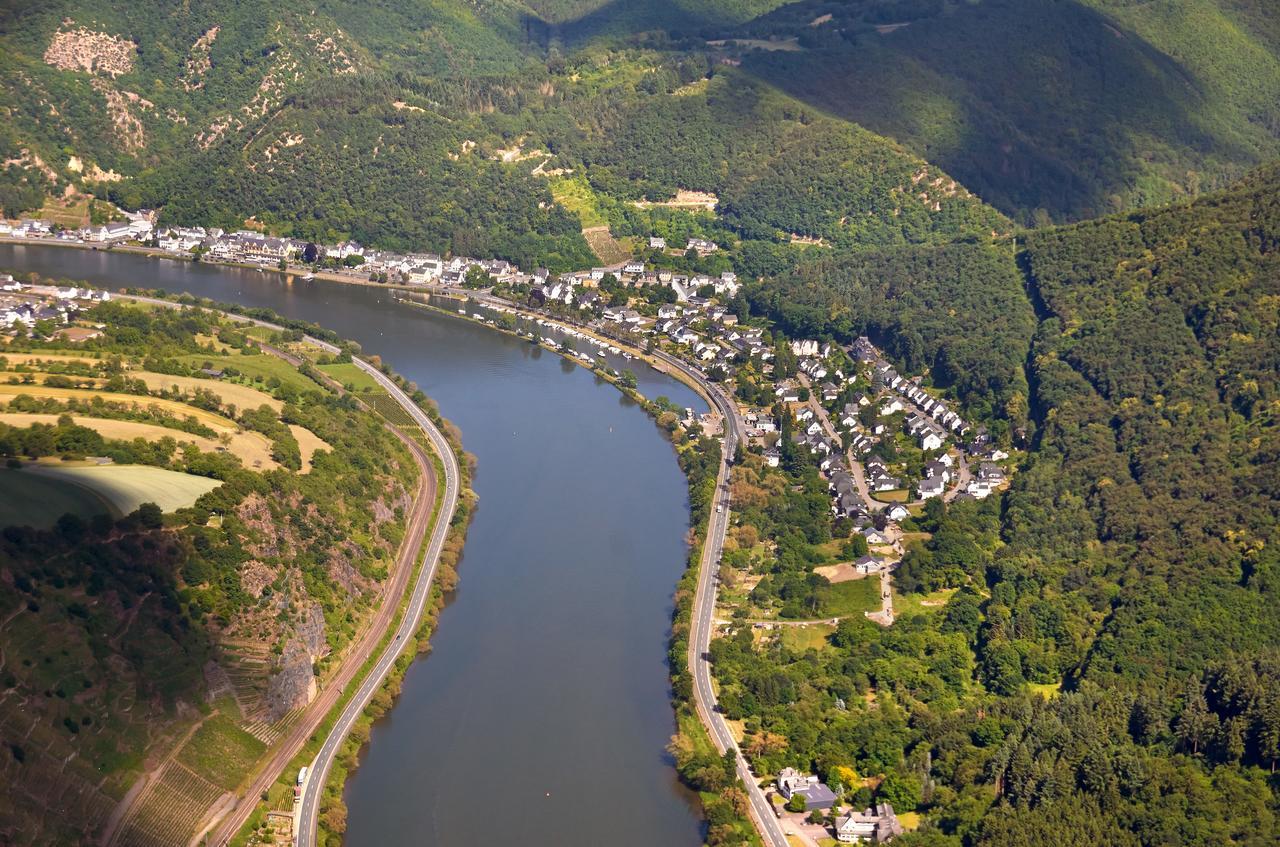 Pension "Haus Am Walde" Brodenbach, Mosel 外观 照片