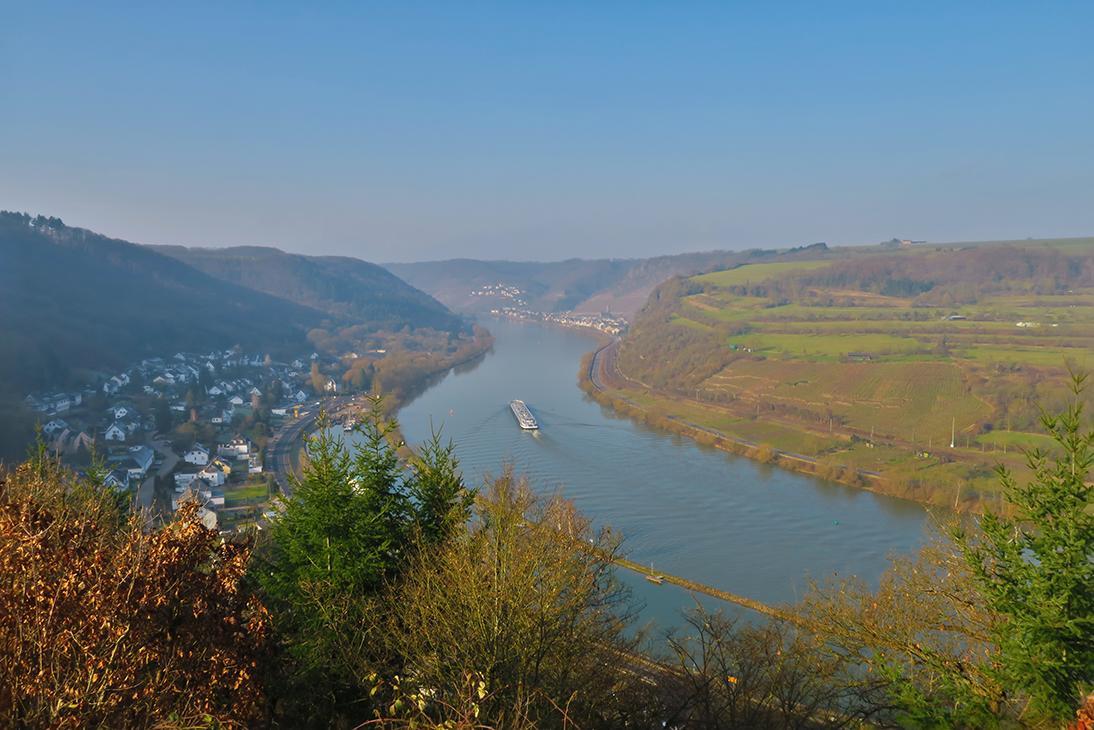 Pension "Haus Am Walde" Brodenbach, Mosel 外观 照片