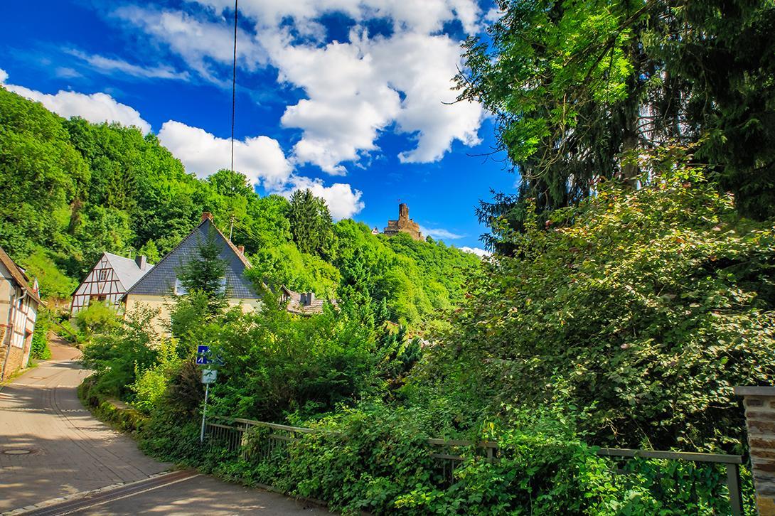 Pension "Haus Am Walde" Brodenbach, Mosel 外观 照片