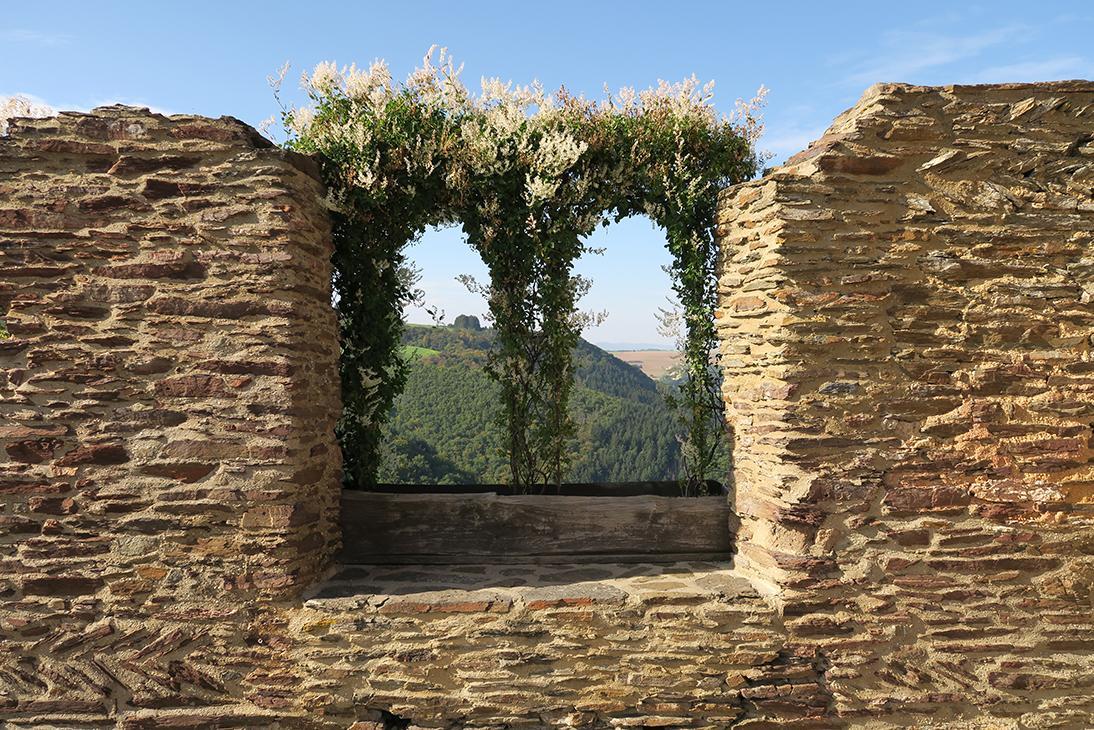 Pension "Haus Am Walde" Brodenbach, Mosel 外观 照片