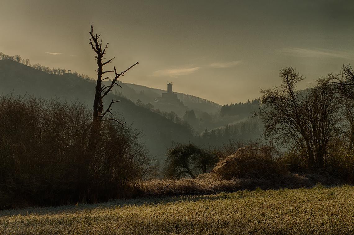 Pension "Haus Am Walde" Brodenbach, Mosel 外观 照片