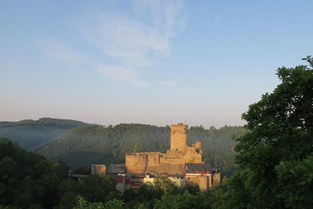 Pension "Haus Am Walde" Brodenbach, Mosel 外观 照片